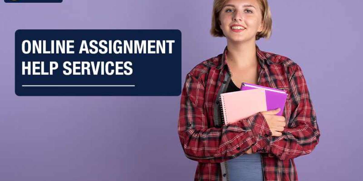 Expert guidance with online assignment help in the USA