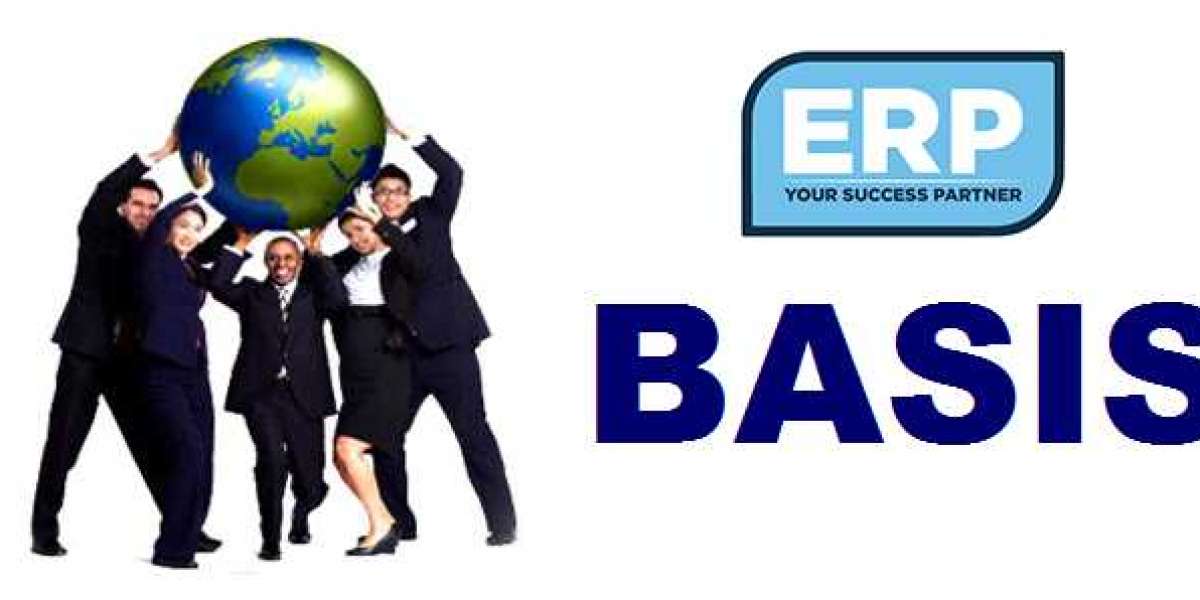 Best SAP Basis Training Institute In Noida By ERP Training Noida