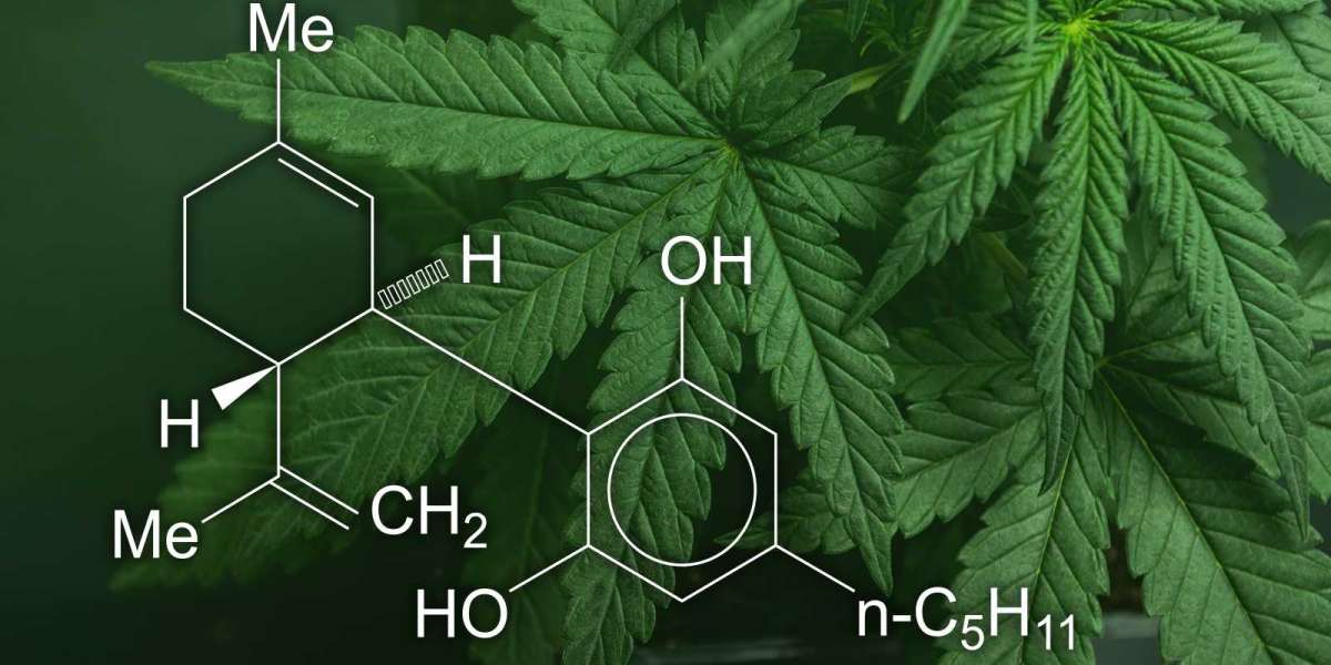 Are You Interested In CBD For Opiate Addiction?