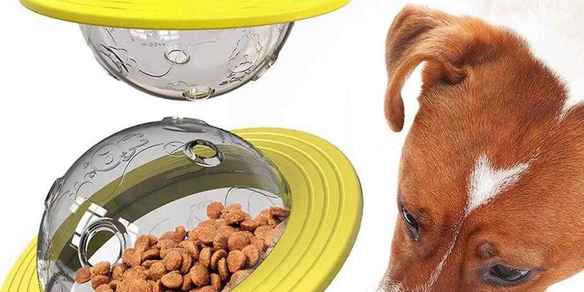 Essential Car Pet Supplies for Going Out