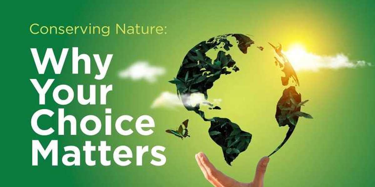 Conserving Nature: Why Your Choice Matters — Beyond Solar
