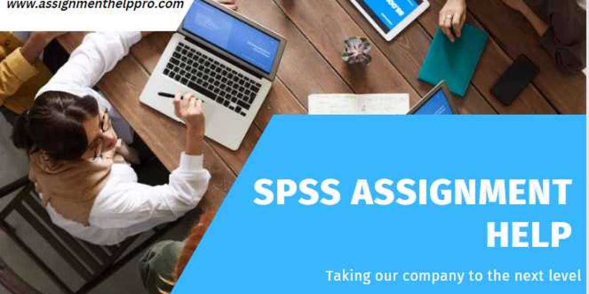 Get Affordable SPSS Assignment Helper in USA