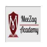 MEEZAG Academy powered by by Meezag India Privet Limited Profile Picture