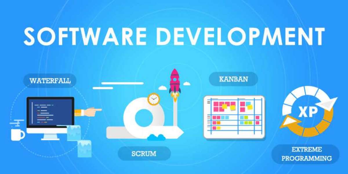 How Did Software Development Company in India Rise to the Top?