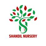 Shandil Nursery profile picture