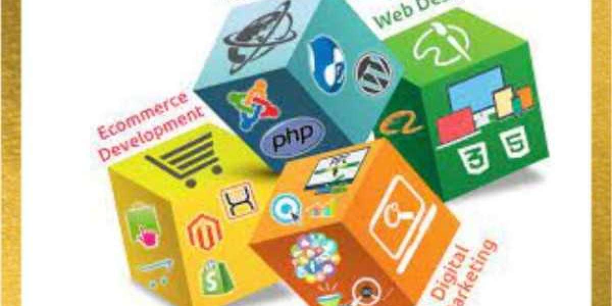 Best Web Application Development Company in India
