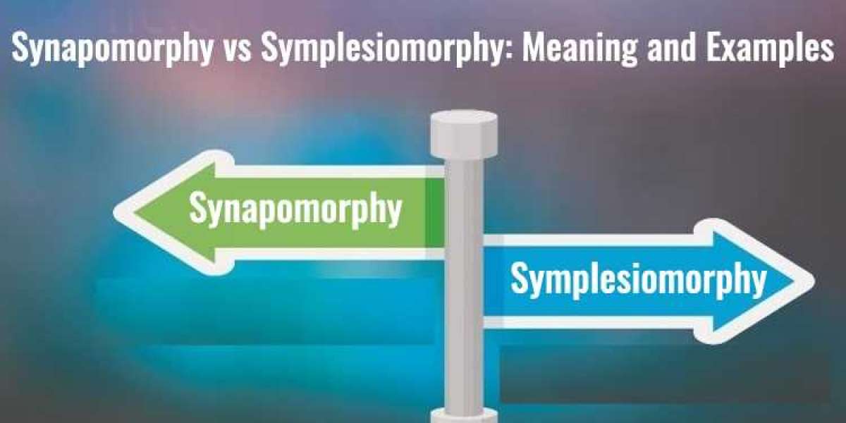 What is Symplesiomorphy