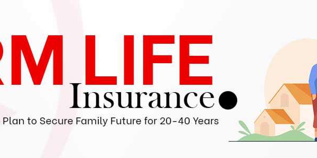 Term Life insurance In Toronto