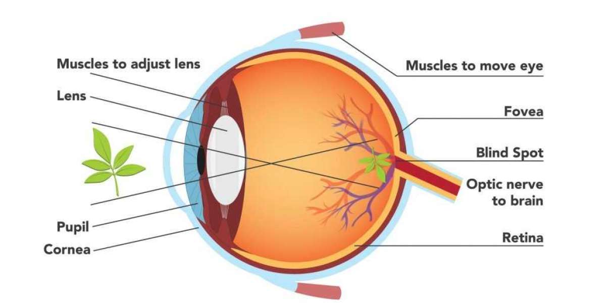 The Nine Misgivings You Should Clarify About Laser Eye Surgery Operations