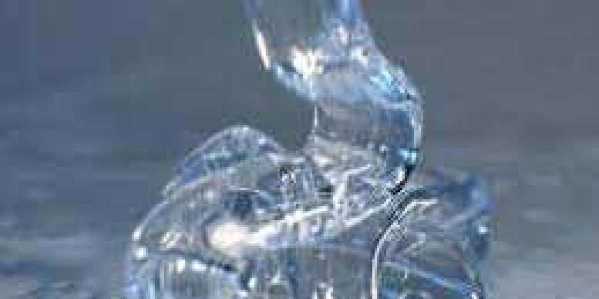 Silicone Fluids Market: Global Industry Analysis, Size, Share, Growth, Trends, and Forecasts 2023-2030