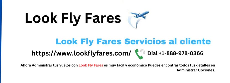 Look Fly Fares Cover Image