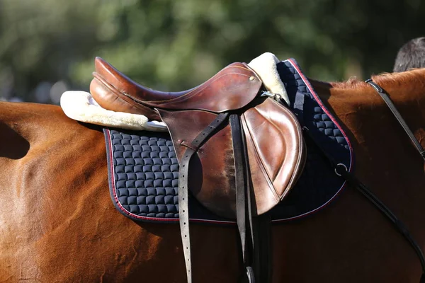 Saddle For Sale Profile Picture