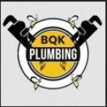 Bee Quick Plumbing Sewer corp Profile Picture