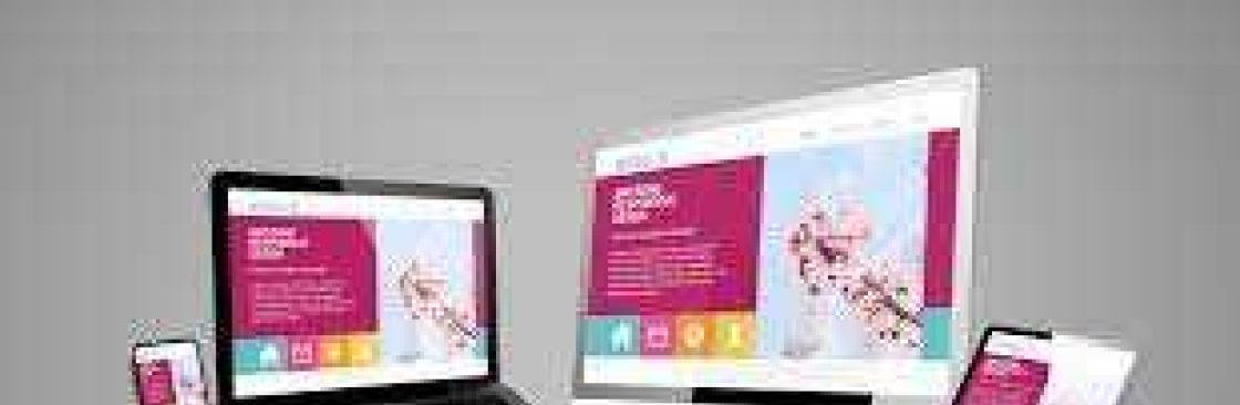 Website designing comapany in delhi web design Cover Image