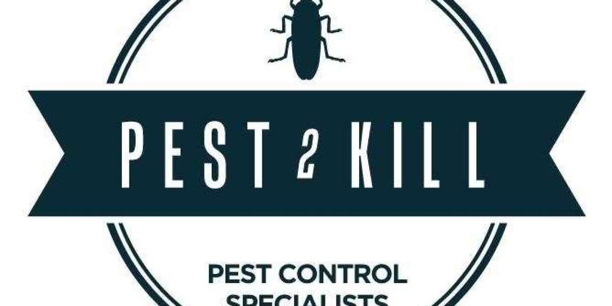 Rat Pest Control Near Me: Keeping Rodent Infestations at Bay