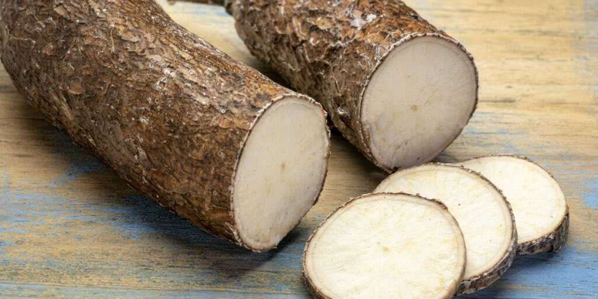 Cassava Processing Plant Project Report 2024: Machinery Requirements, Setup Cost and Revenue