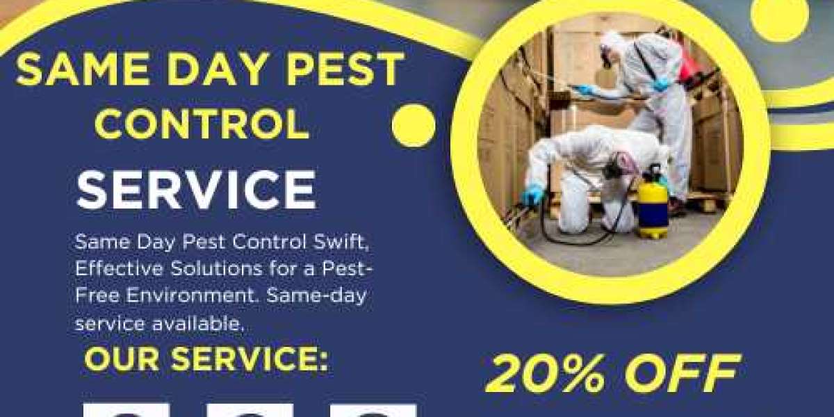 Tootgarook Pest Control Pros: Banish Bugs for Good